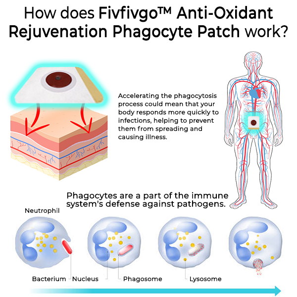 Fivfivgo™ Anti-Oxidationsmittel-Verjüngungs-Phagozyten-Pflaster